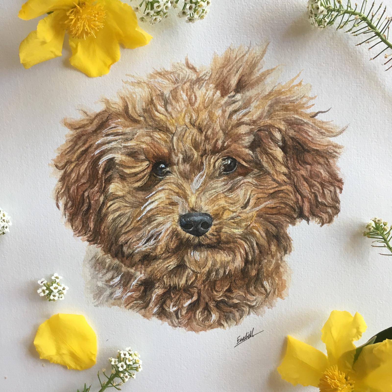 Puppy Portrait