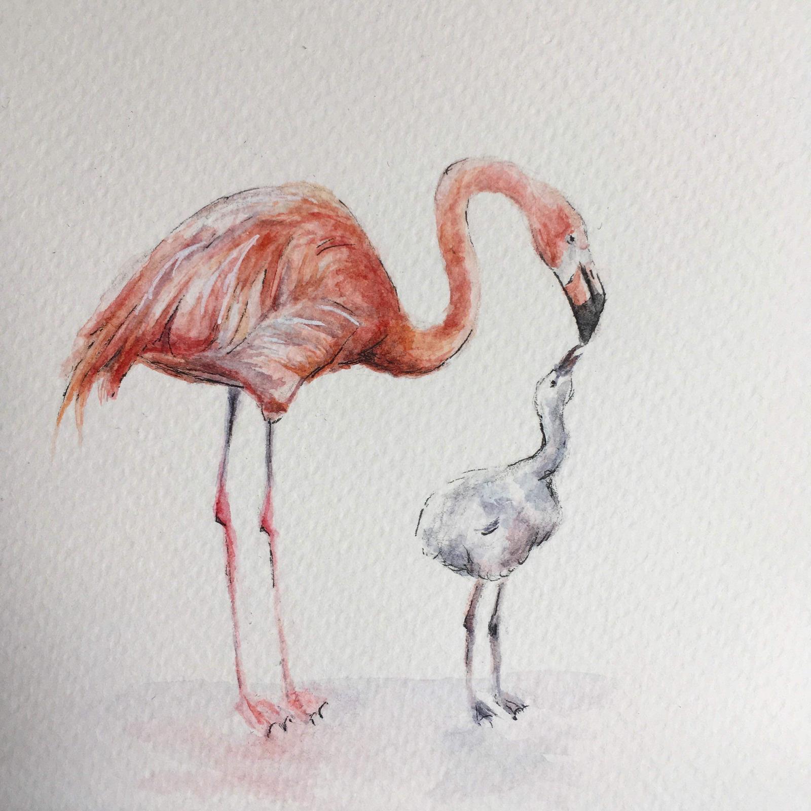 Flamingo Mama and Baby
