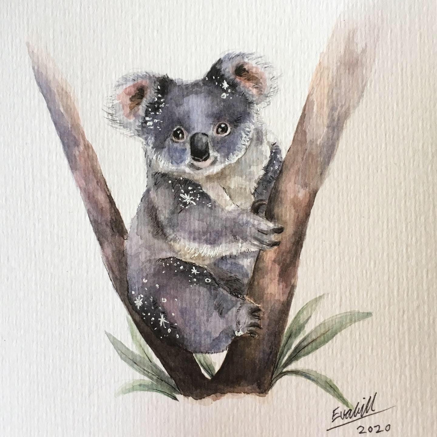Koala Watercolour 