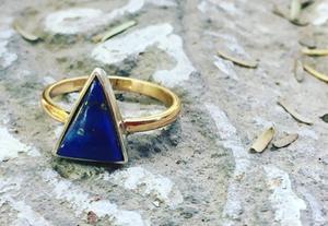 Bhuddi and the Sandpiper