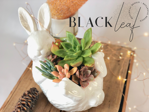 BlackLeaf botanical design