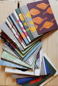 Blue Armadillo Design