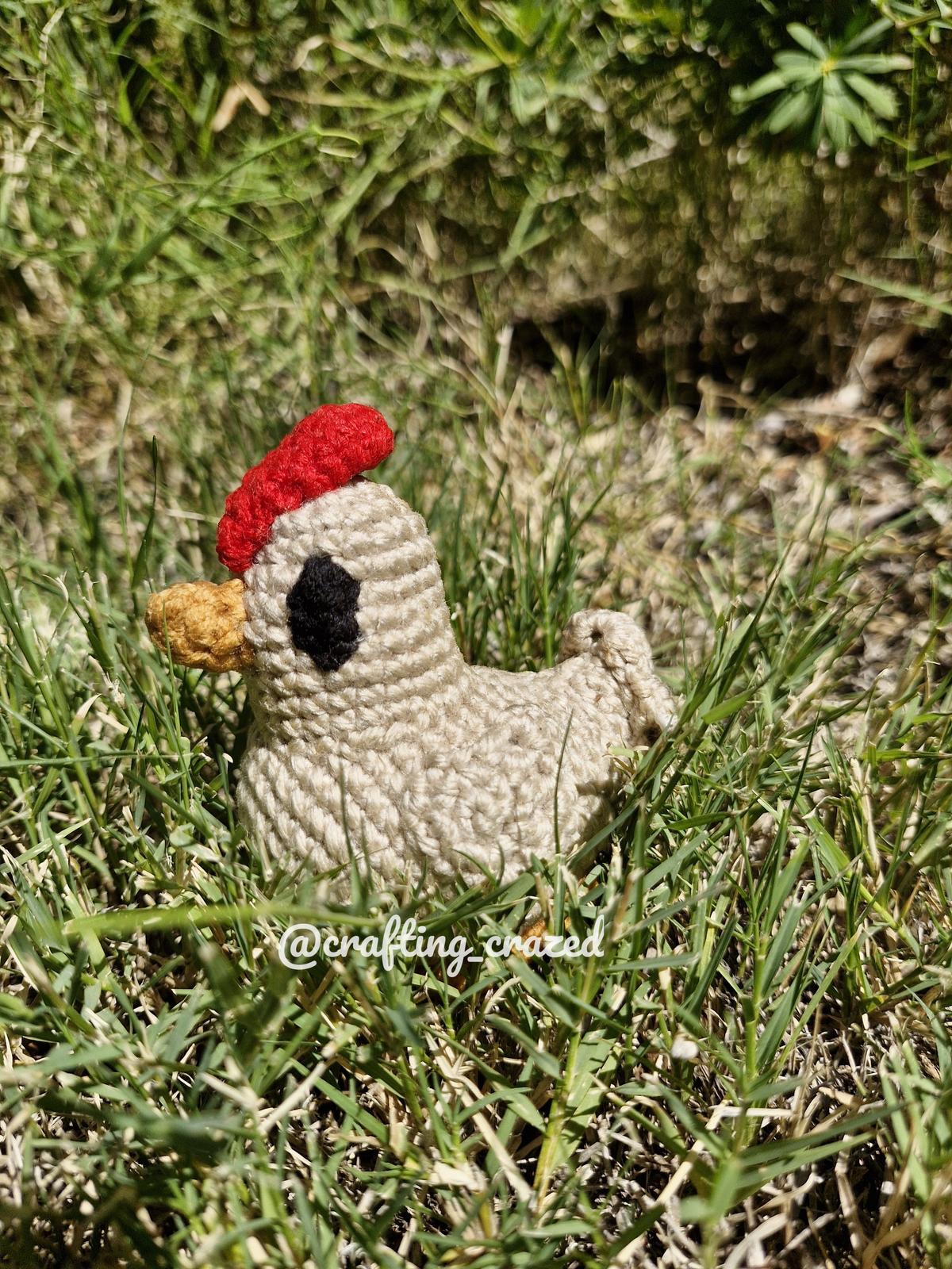 Chicken