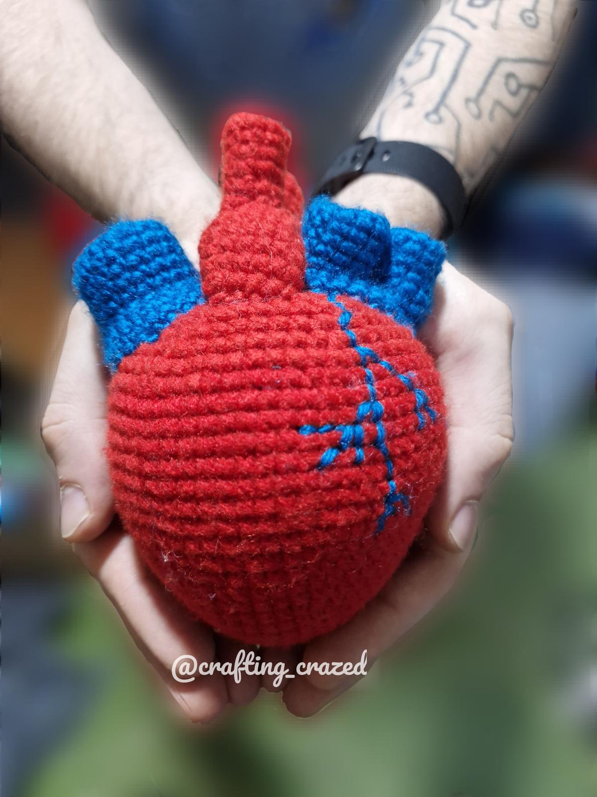 Anatomical Heart
