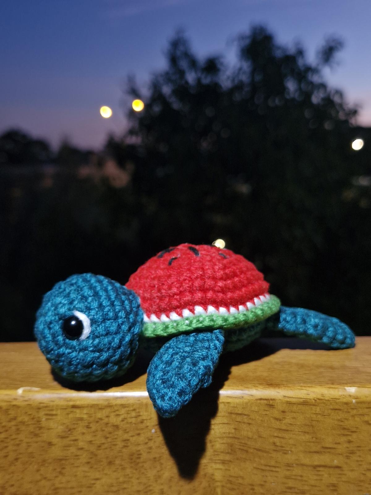 Melon Turtle
