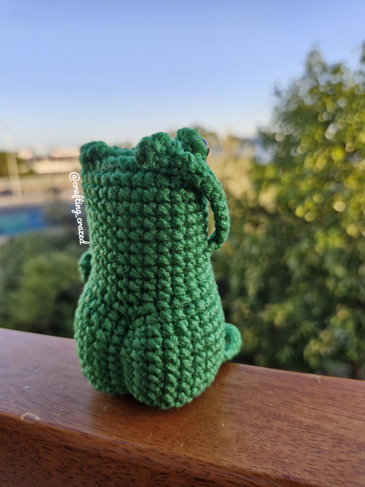 Cheeky Frog