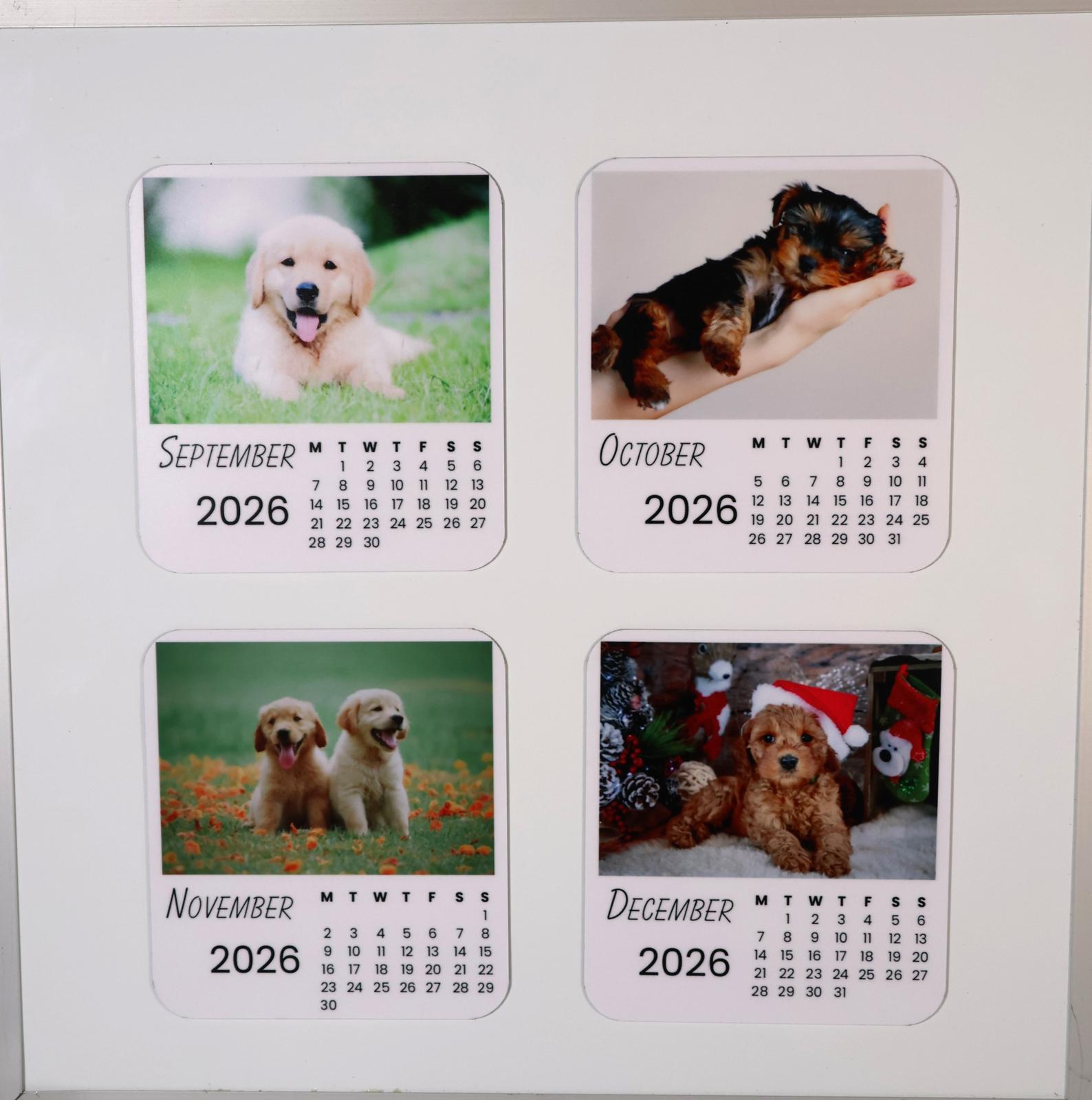 Dogs Calendar 2026 Display