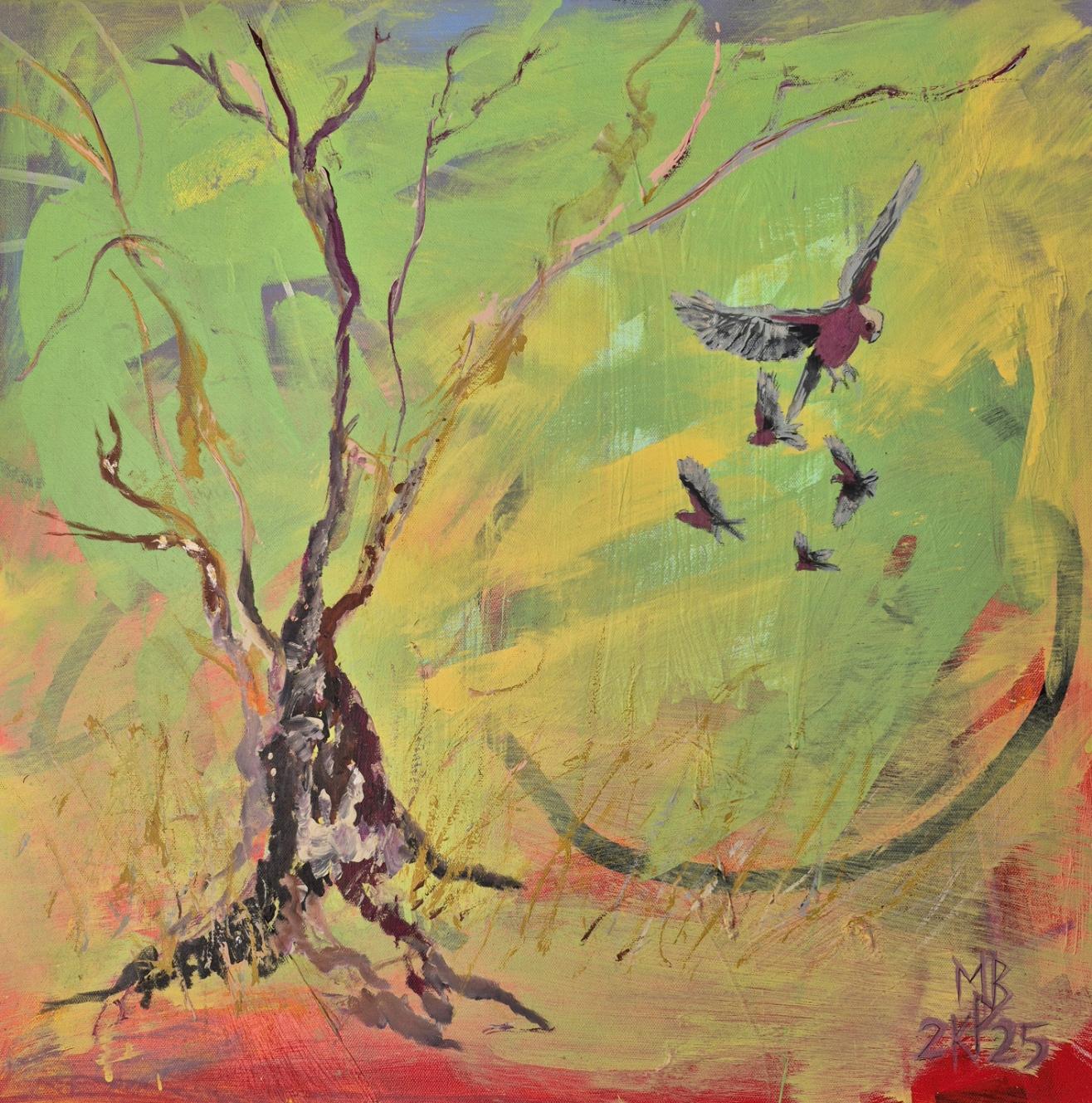 Galahs on Midlands Road