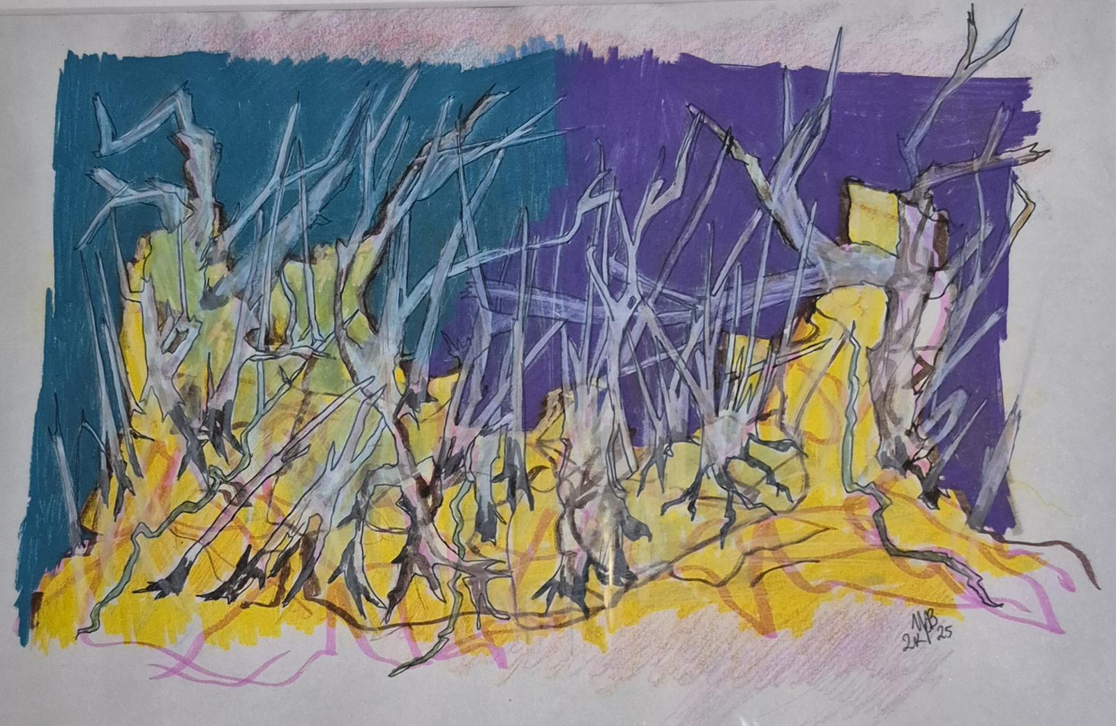 Spearwood in Beeliar Wetlands