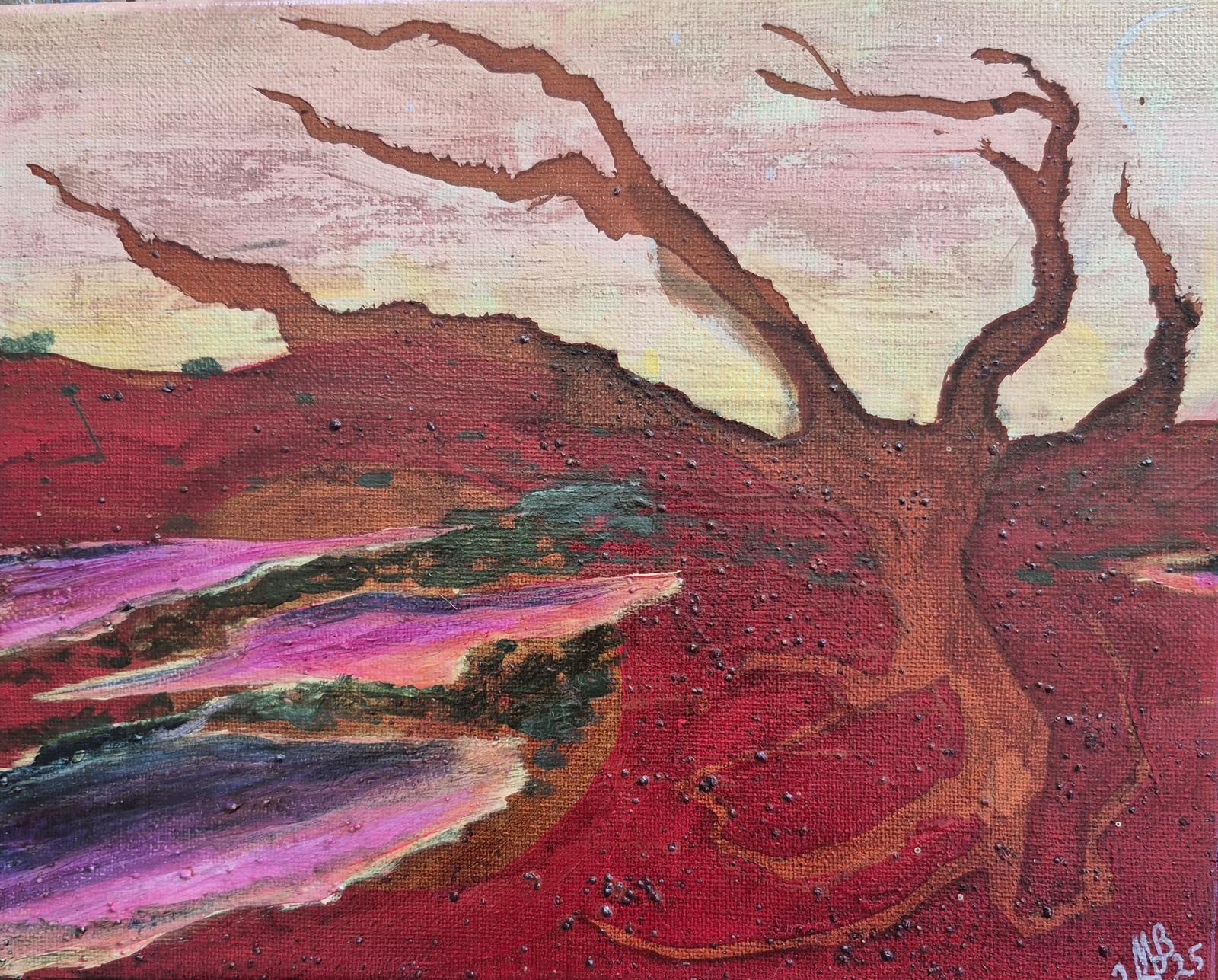 Pink Lakes near Kalbarri