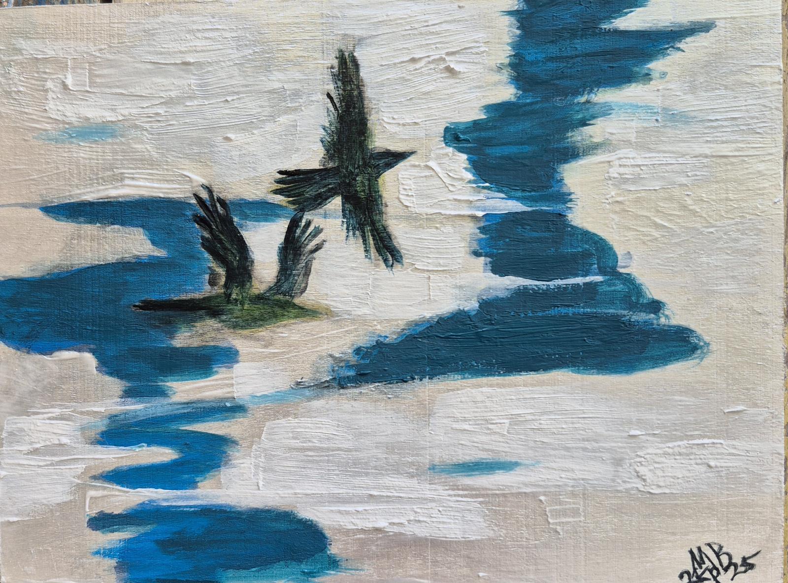 2 Australian Ravens who Flew from Left to Right across my Field of Vision