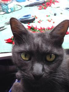 Driftin' Designs Jewellery