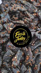 Fossils Jerky