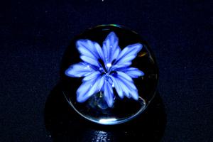 Glass art by Callum Harrison