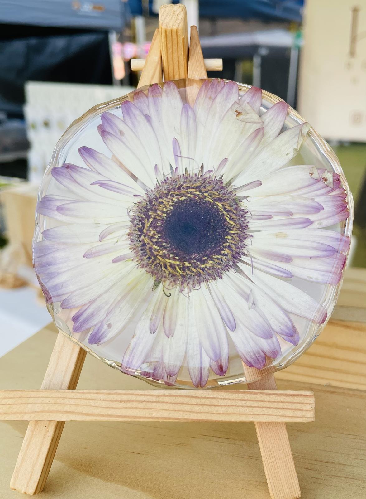 Dried flower coasters