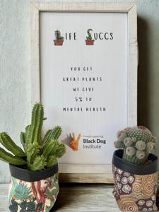 Life Succs