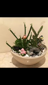 Living Gifts Creations