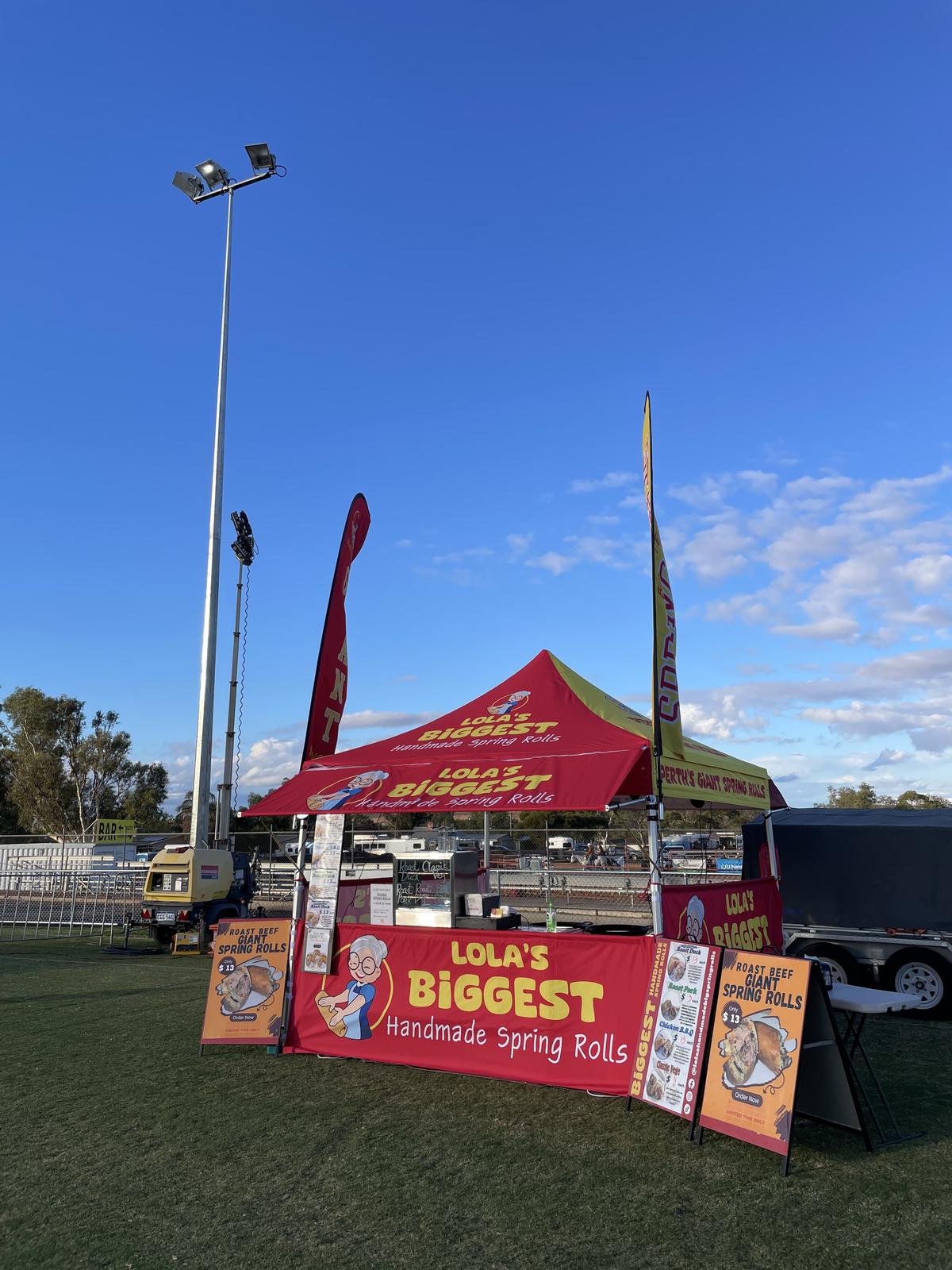 Lola's Handmade Biggest Spring Rolls