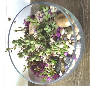 Lorraine's Magical Garden