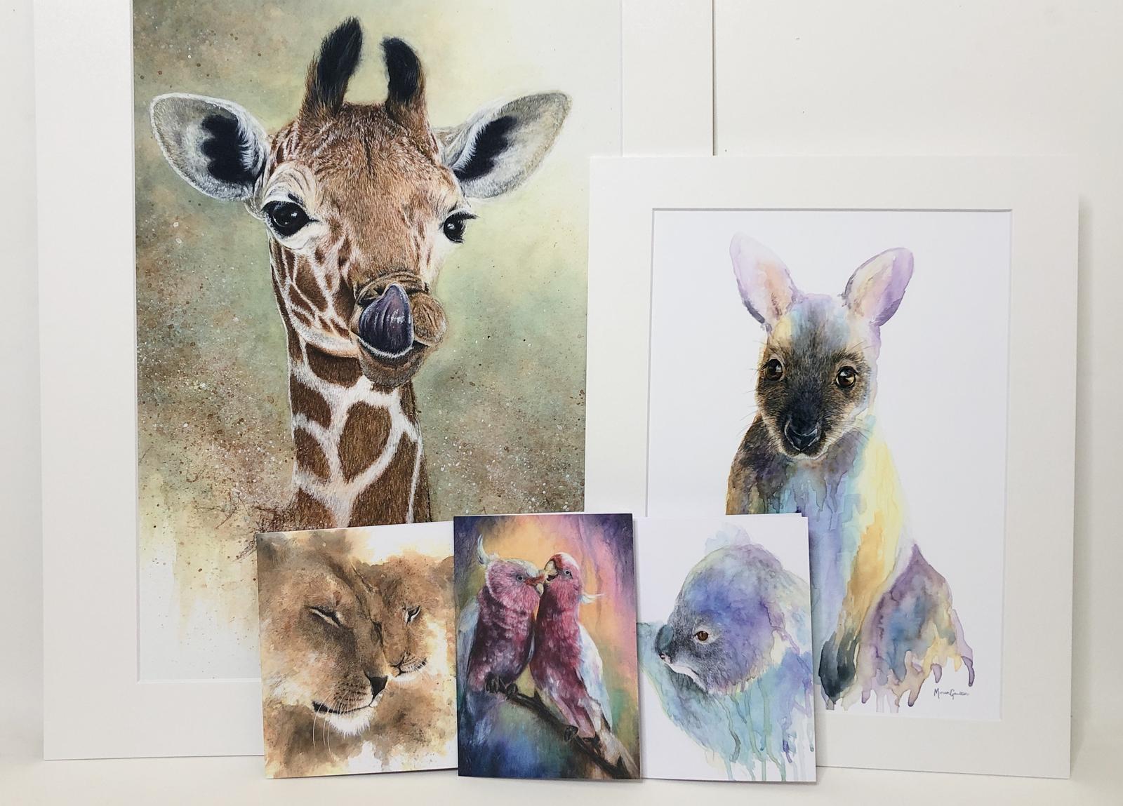 Fine Art Prints and Cards