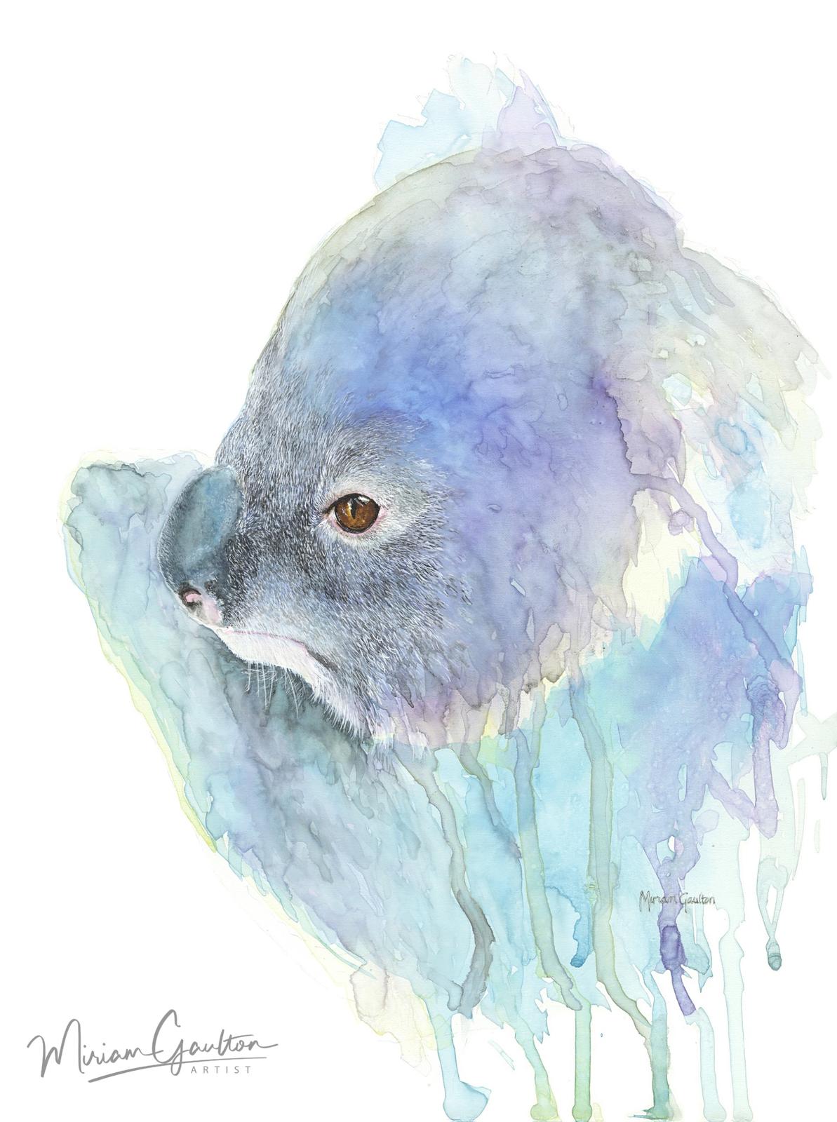 Koala - Watercolour painting