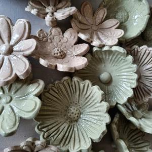 Ms Fancy Pants Laser