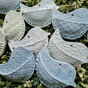 Ms Fancy Pants Laser