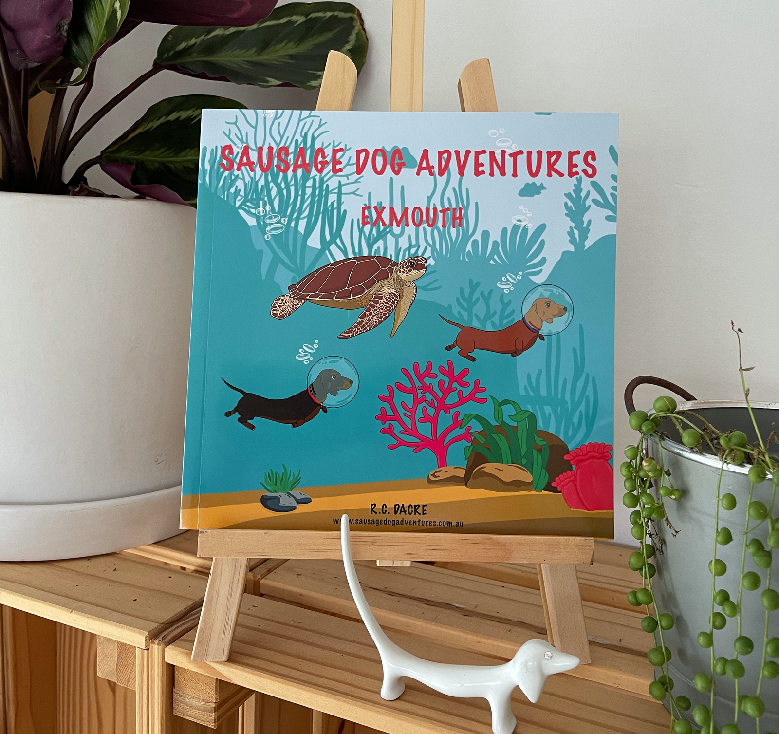 Sausage Dog Adventures