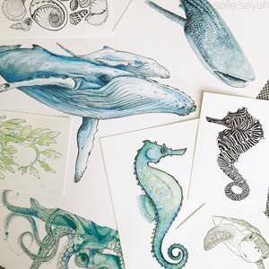 Sofie Seyah Illustration