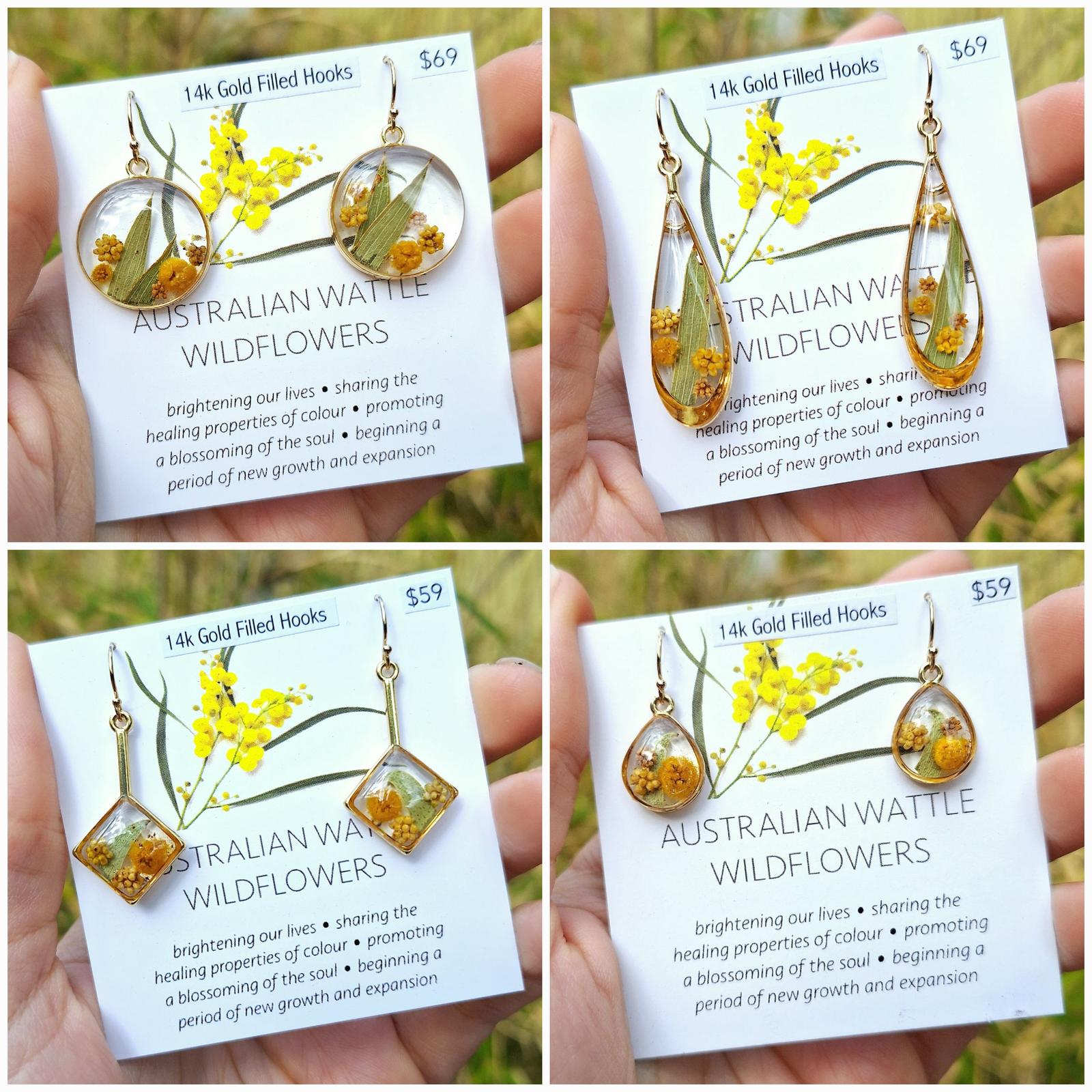 Wattle Wildflower Gold Collection