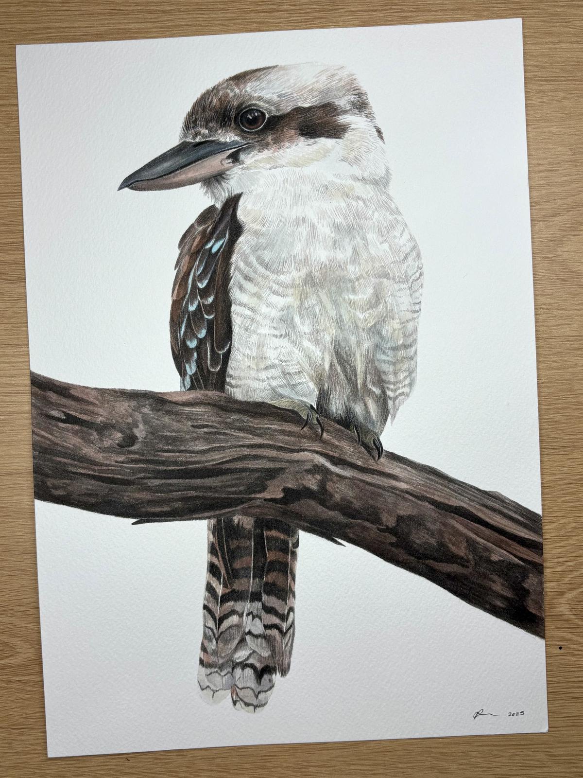 Original Artwork (Kookaburra)