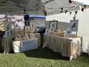 Splendid Wren Art Studio