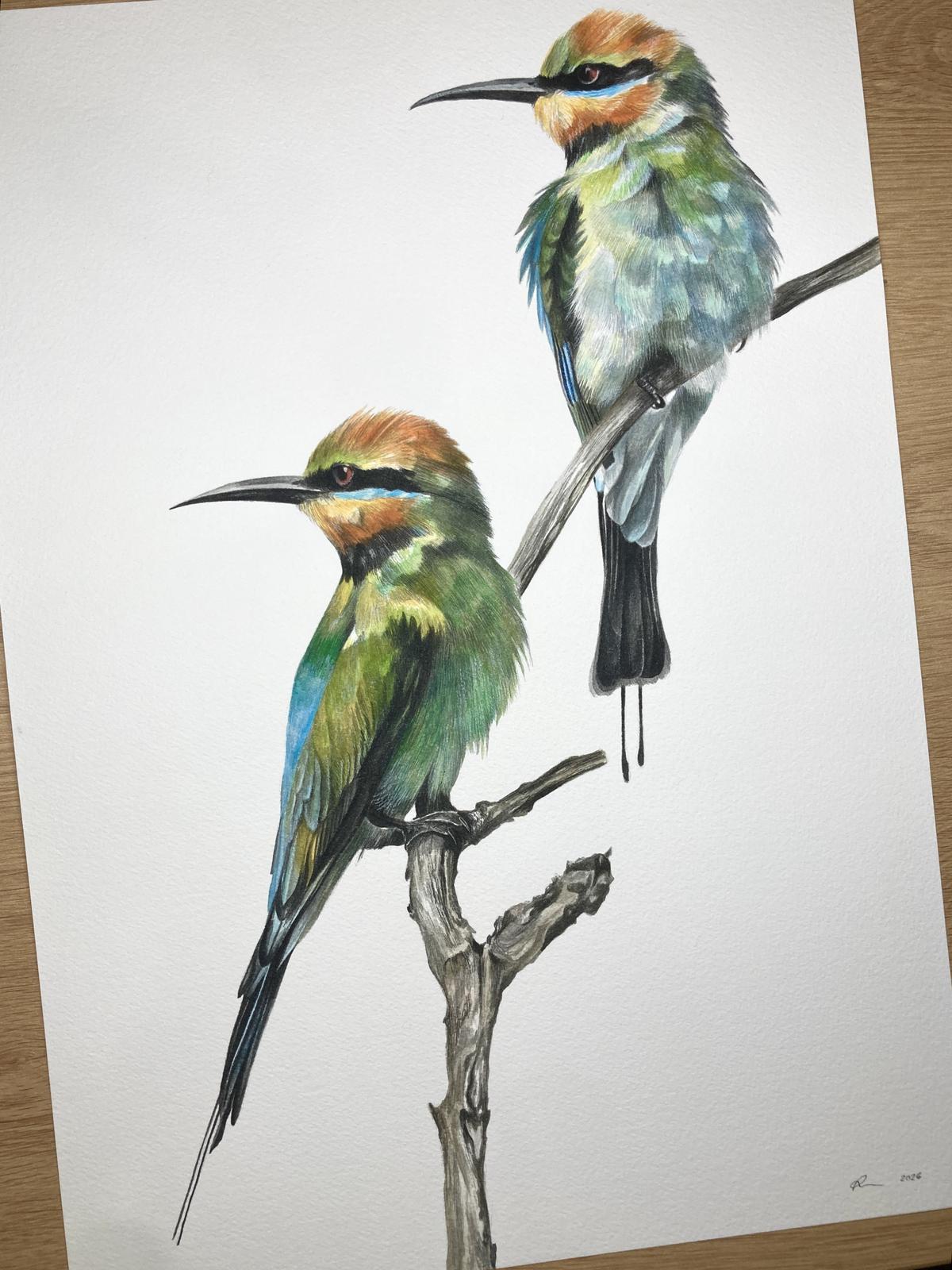 Original Artwork (Bee Eaters)