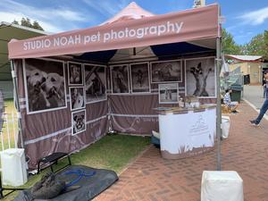 Studio Noah Pet Photography and Video