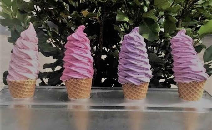 Product Pic