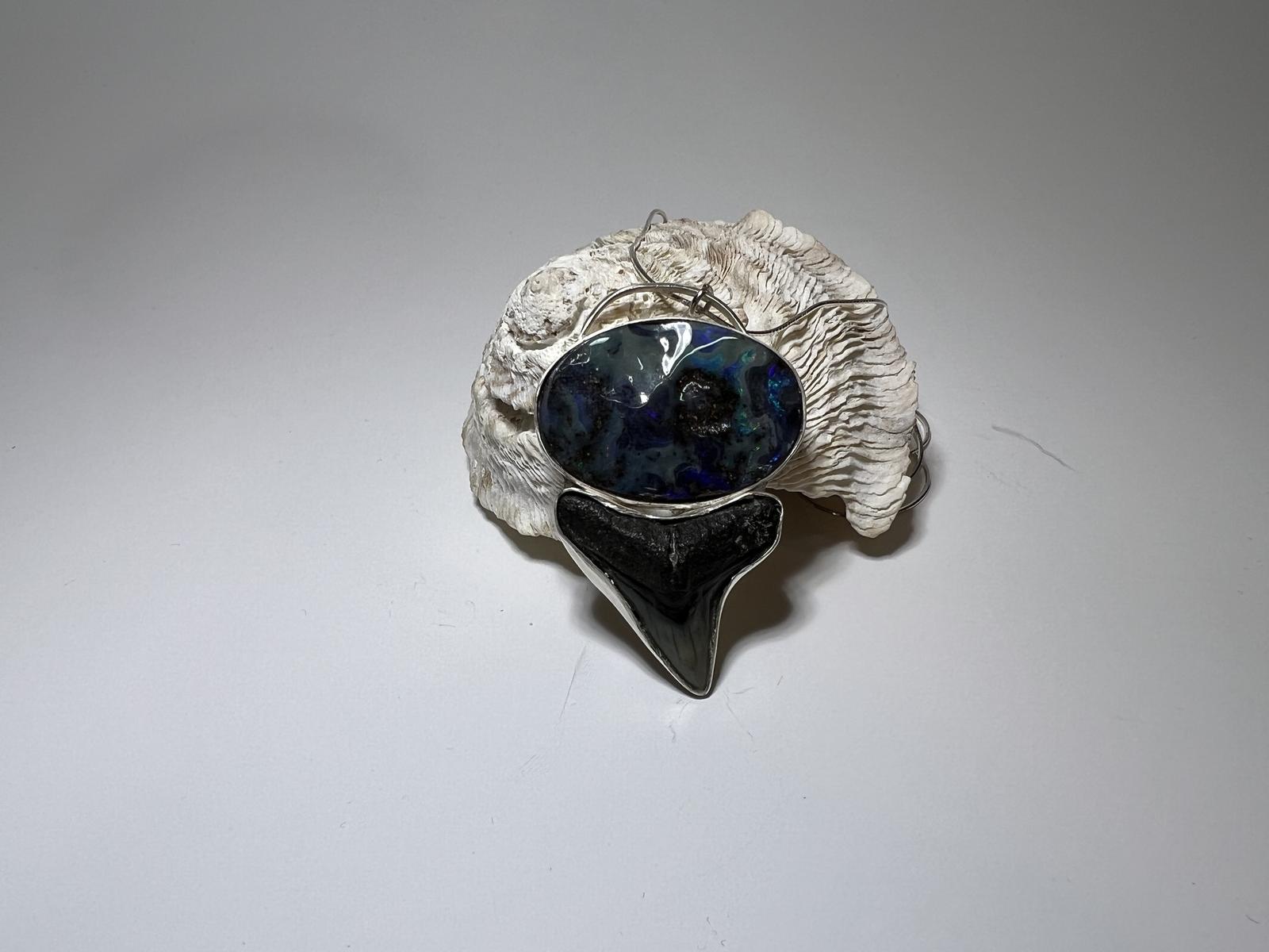 Fossilized Bull Shark Tooth Necklace