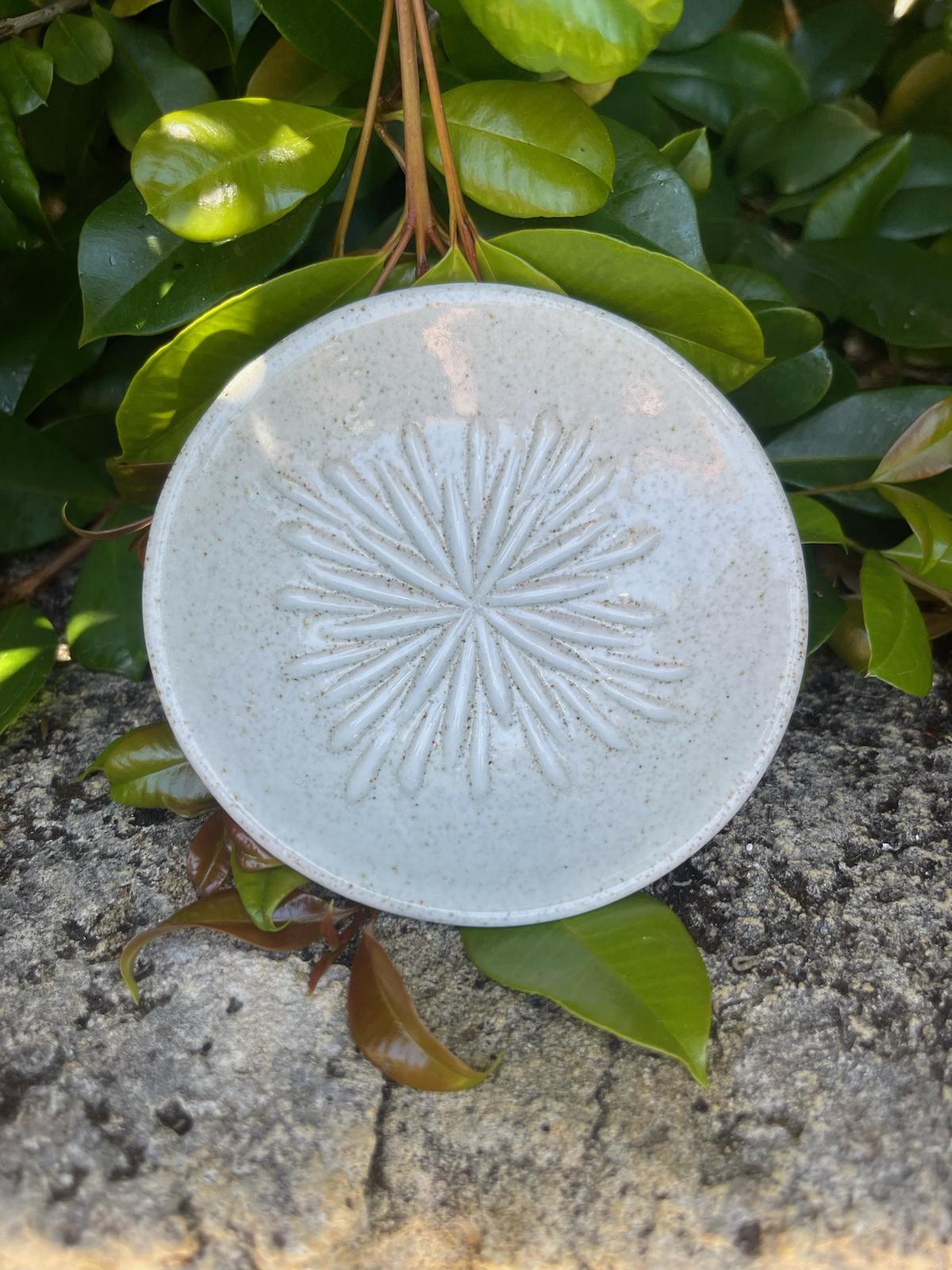 Garlic Grater - White