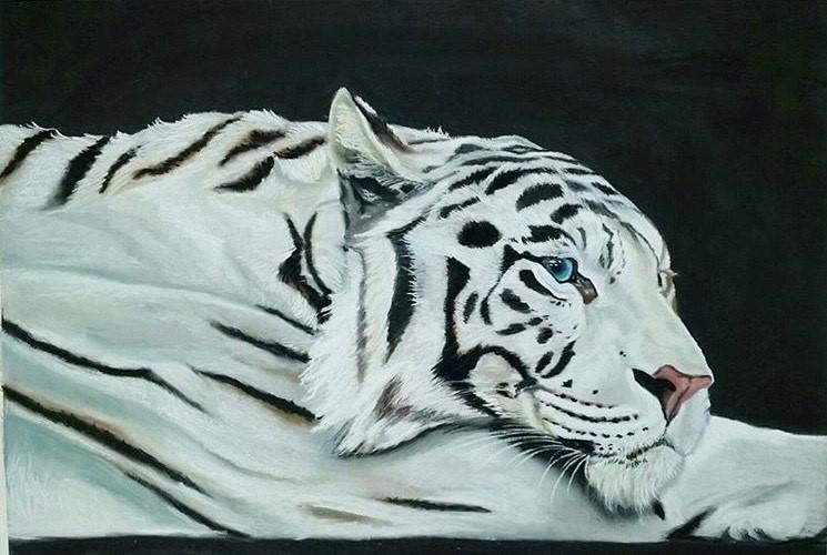 Lazy white