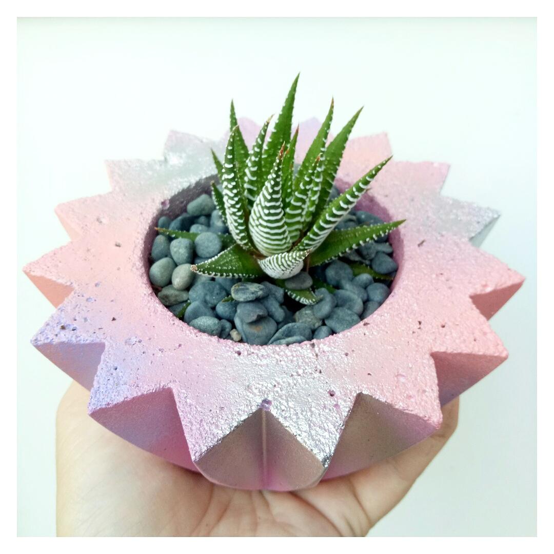 Coral unicorn poop and small deco planter