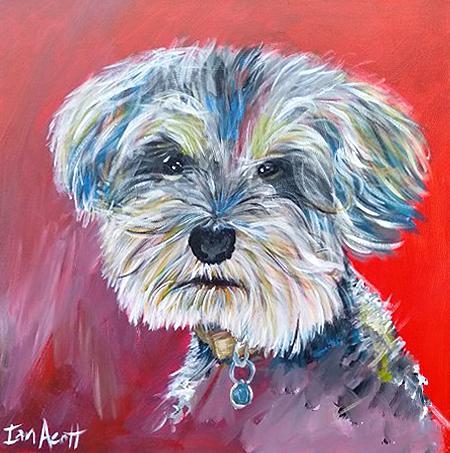 Pet Portrait