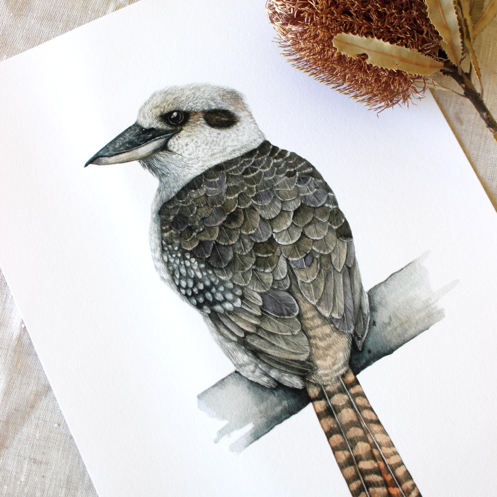 Kookaburra print