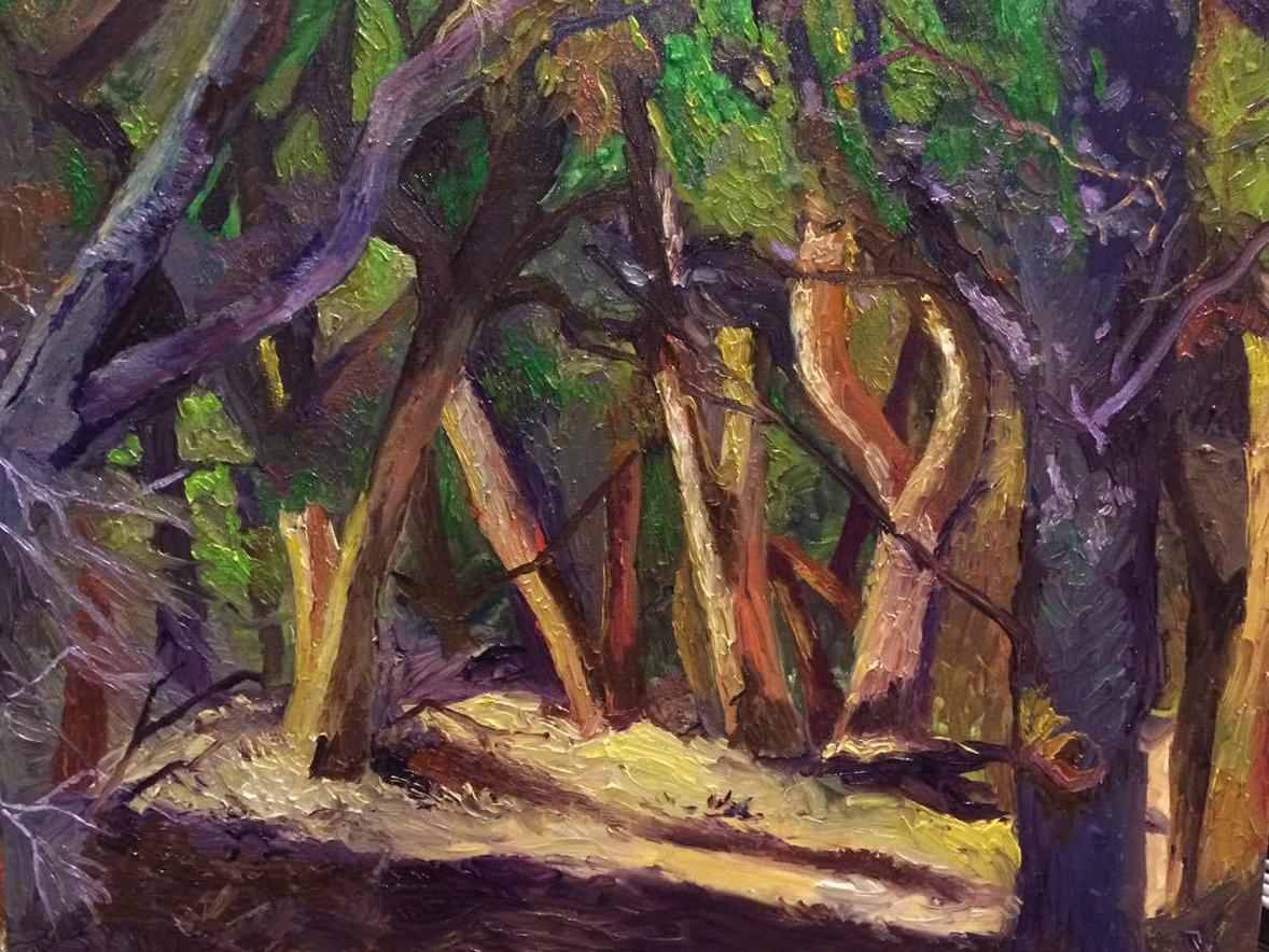 Deep Forest