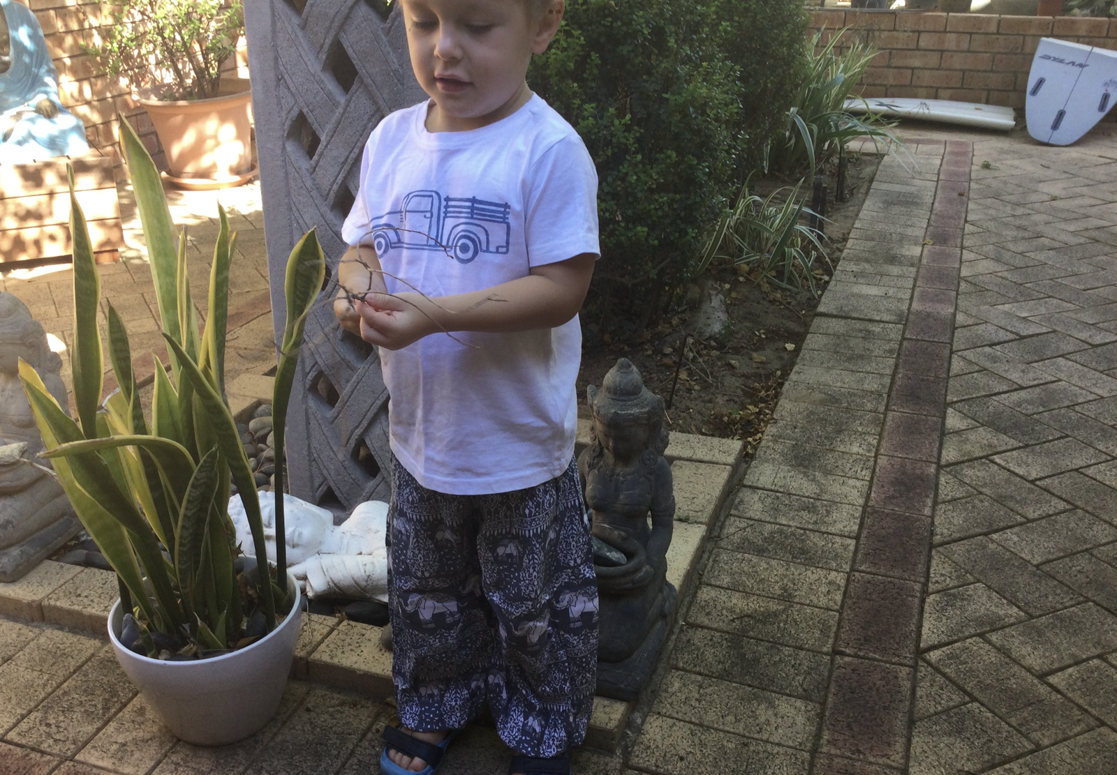 ArchieandCharlottesWardrobe
