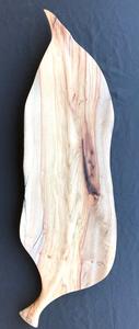 Arid Timber Art