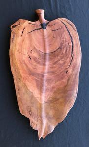 Arid Timber Art