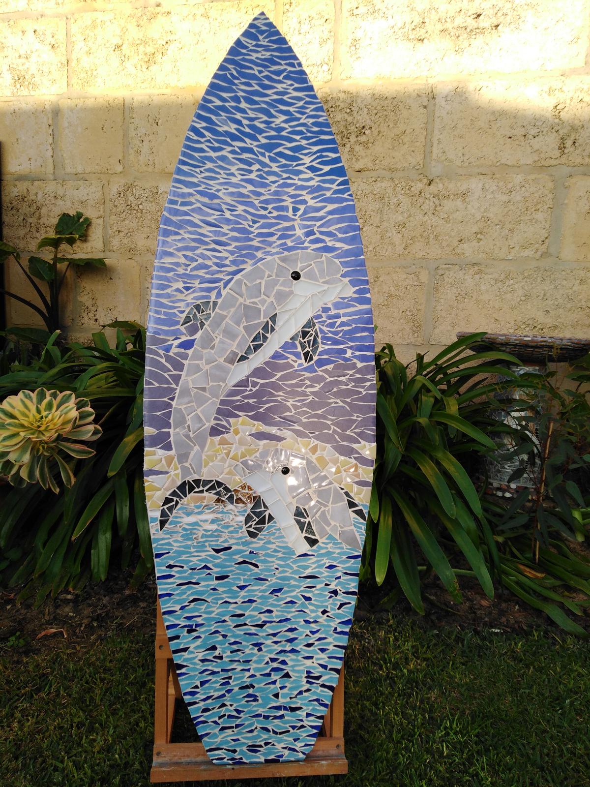 Dolphin on surfboard