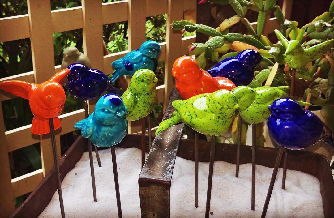 Birds