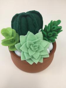 Ascella Designs