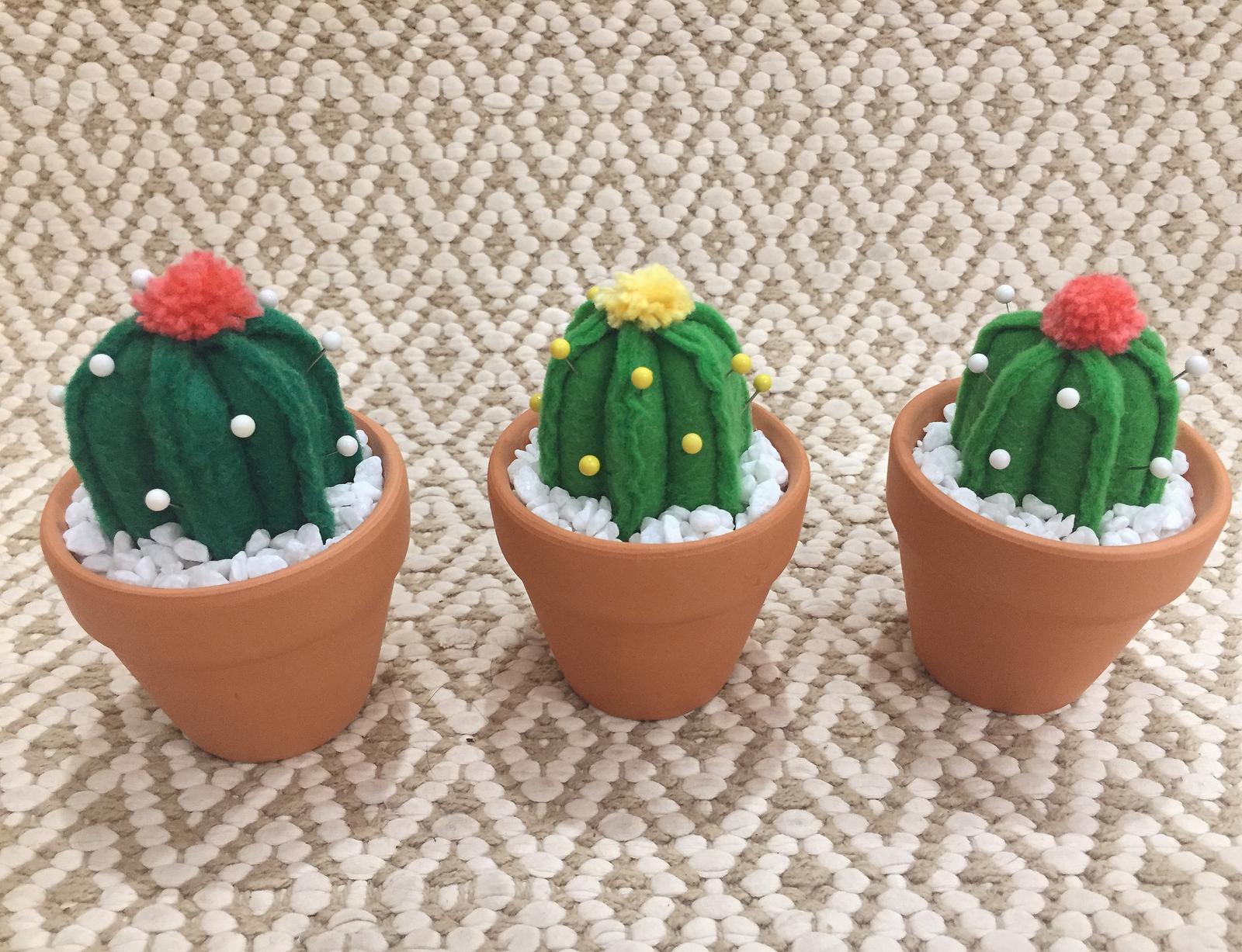 Cactus pin cushions