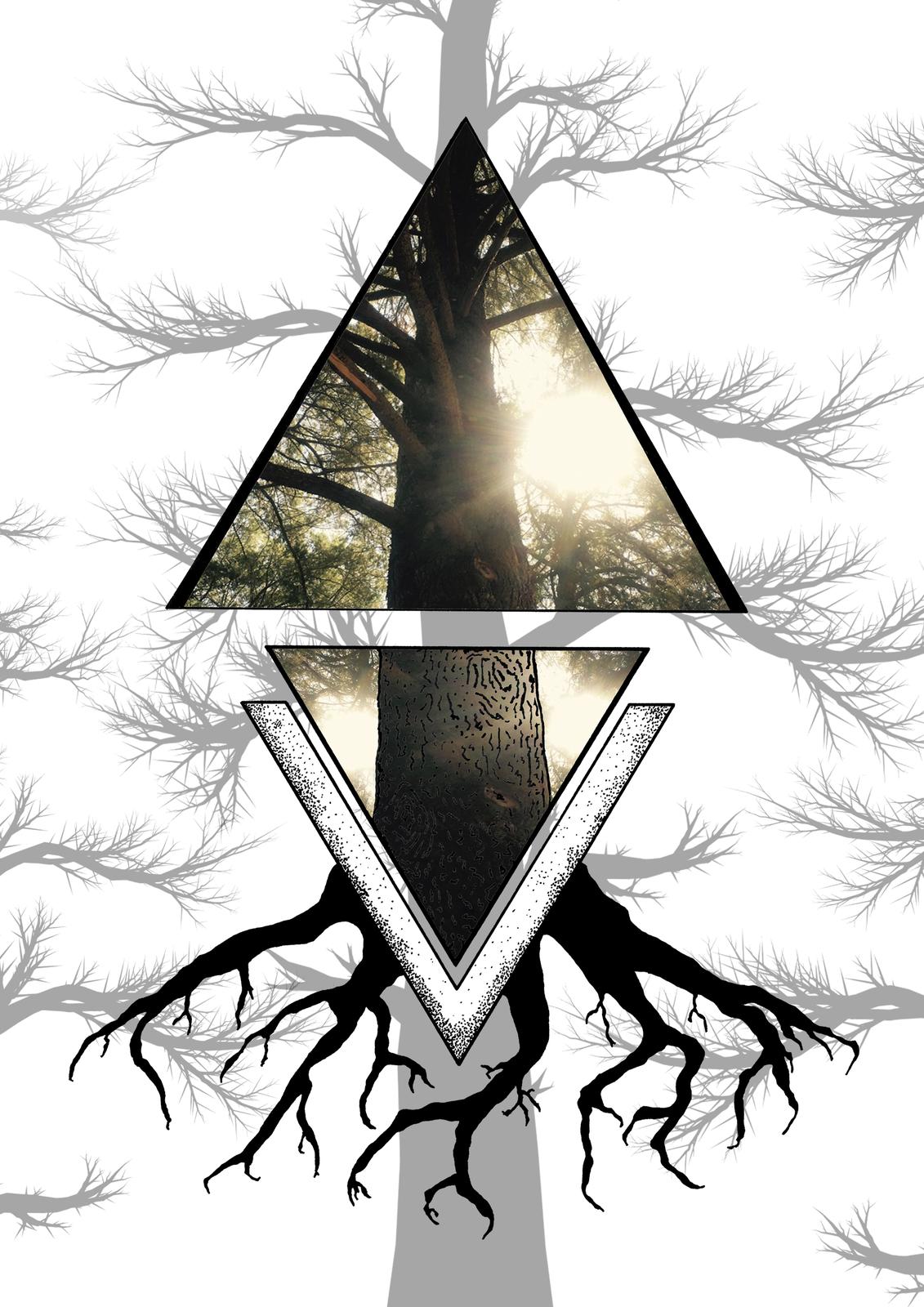 Art Prints - Tree Spirit